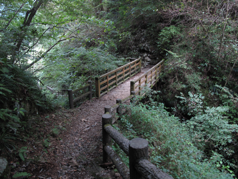 20161014hike (303)